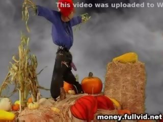 Pumpkin fucking stunt