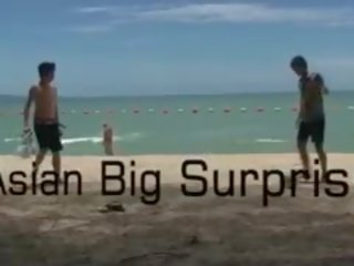 Asian Large Surprise