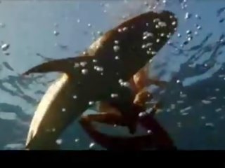 傑西卡 alba 在 性感 比基尼泳裝
